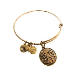 Alex and Ani Celtic Charm Dangle Bracelet